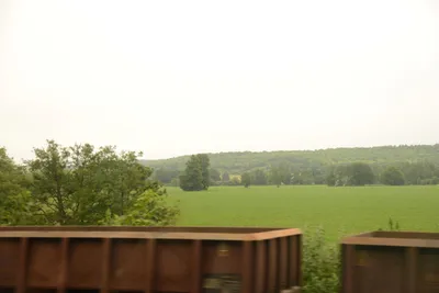 DSC_2520 (Large).JPG